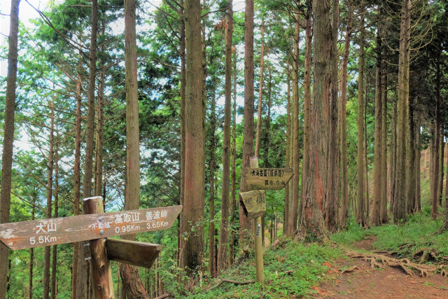 いより峠